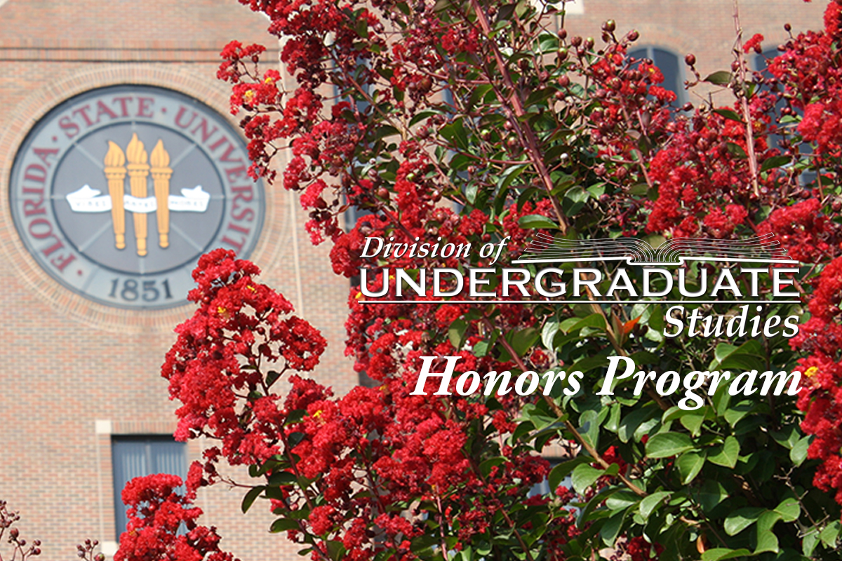 Uf honors program application